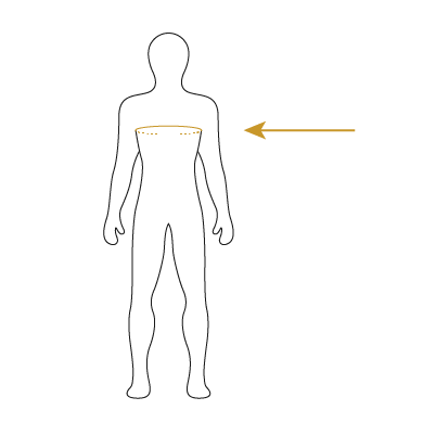 Where to measure for harness sizing